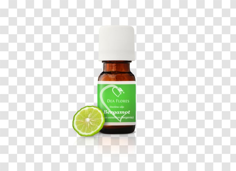 Bergamot Orange Essential Oil Lemongrass Citronella - Lemon Transparent PNG