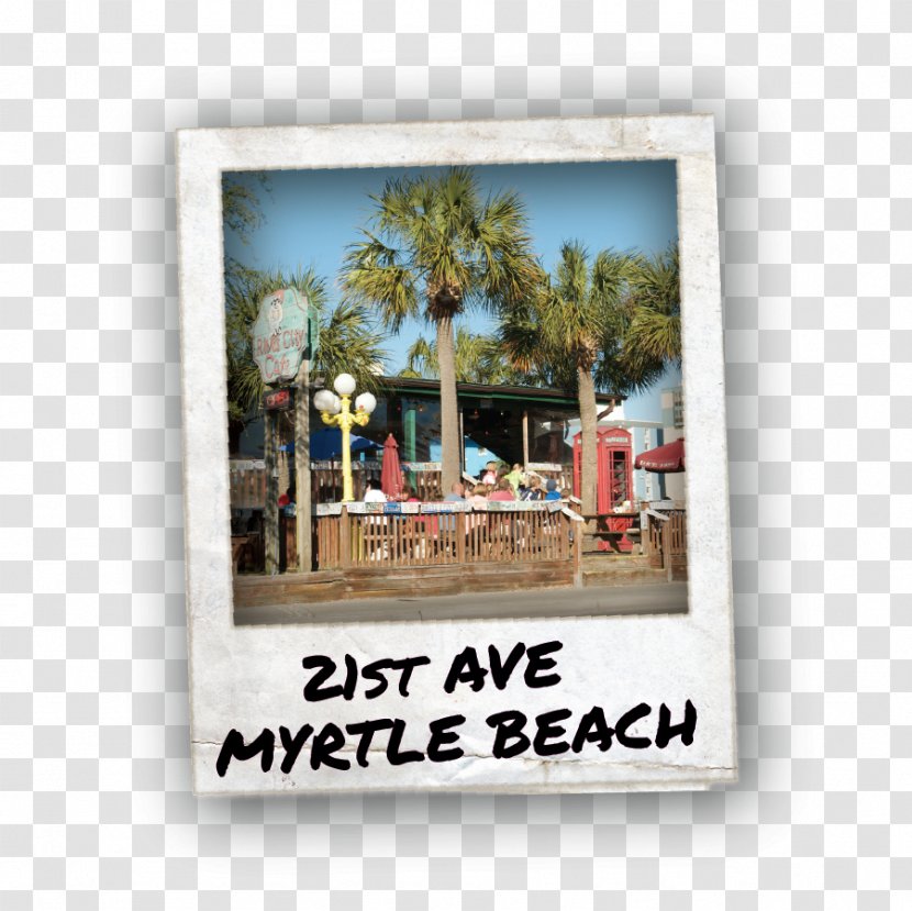River City Cafe Beach Sands Ocean Club Resort North Myrtle Drive Transparent PNG