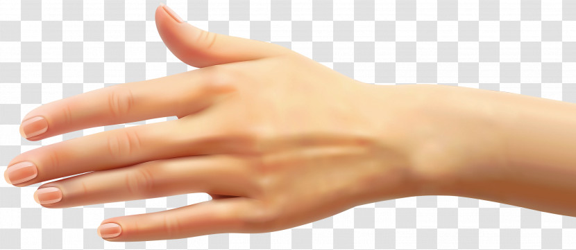 Skin Finger Hand Nail Joint Transparent PNG