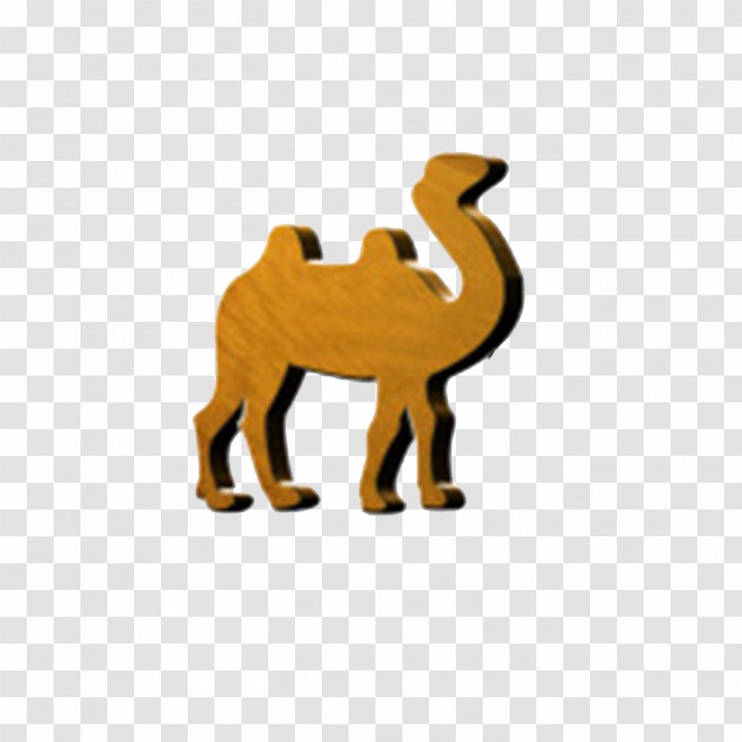 Camel Cat Mammal Pattern - Wooden Logo Transparent PNG