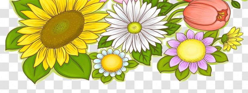 Common Sunflower Greeting Card Transparent PNG
