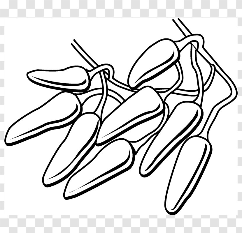 Drawing Line Art /m/02csf Clip - Heart - Bhut Jolokia Transparent PNG