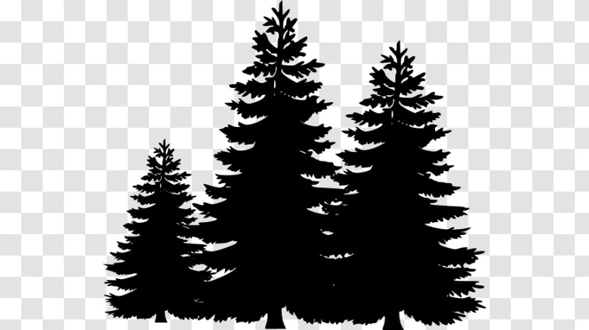 Pine Tree Silhouette Clip Art - Branch - Black Trees Cliparts Transparent PNG