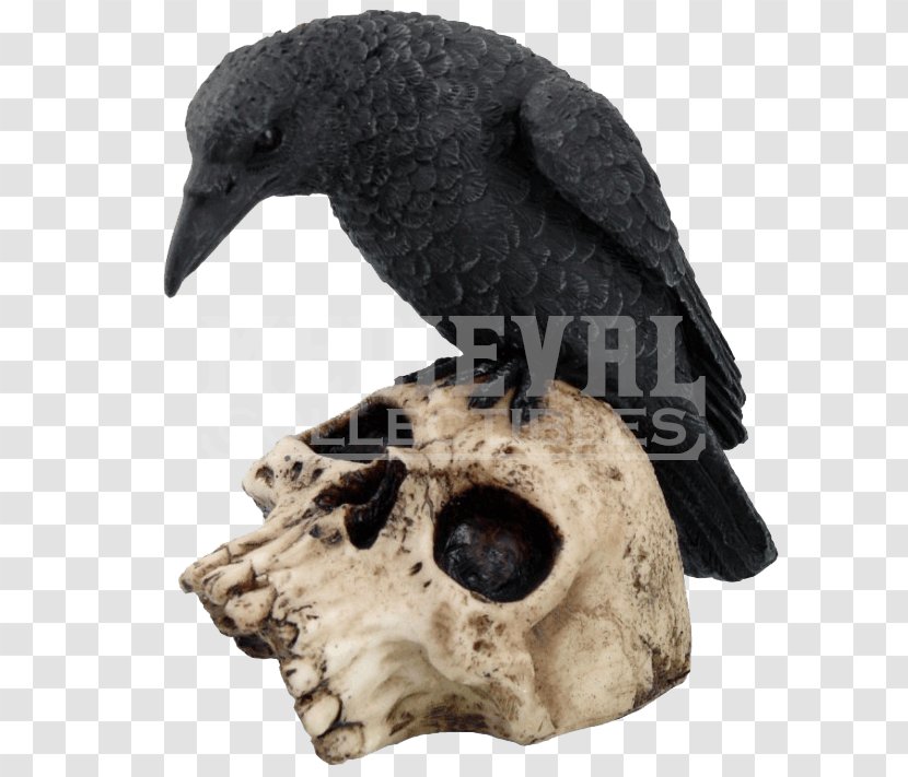 Statue Figurine Skull Polyresin Death - Crow - Perched Raven Overlay Transparent PNG