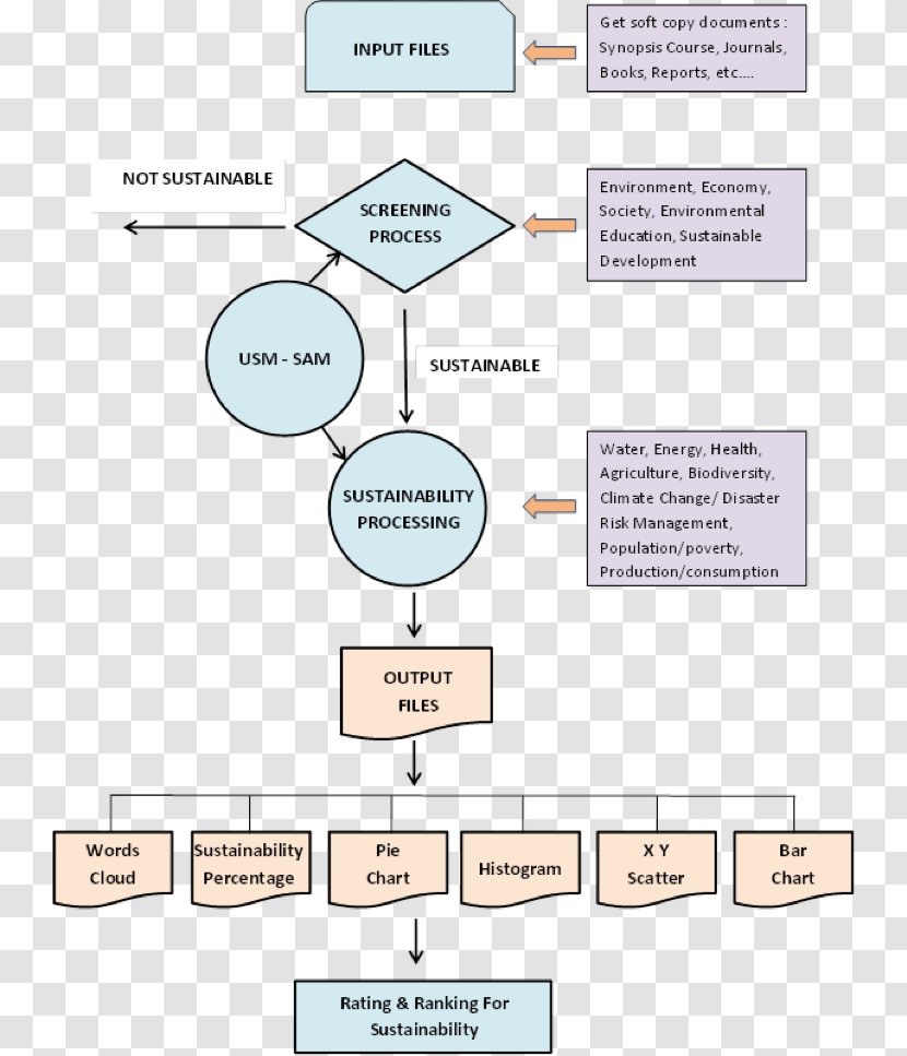 University Of Technology, Malaysia Flowchart Higher Education - Sains Transparent PNG