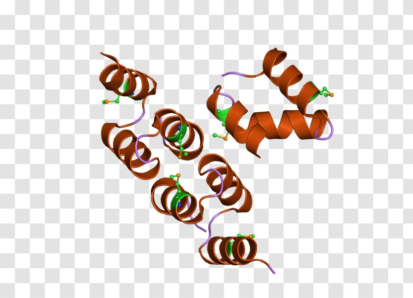 CBL Protein UBE2L3 Ubiquitin Ligase - Cartoon - Silhouette Transparent PNG