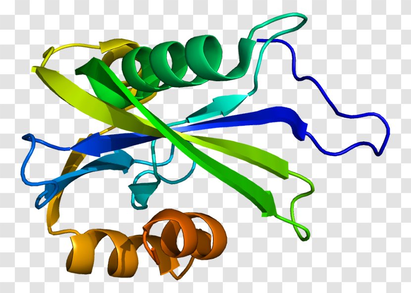 NUDT3 Nudix Hydrolase Nucleoside-diphosphatase Protein NUDT15 - Heart - Watercolor Transparent PNG