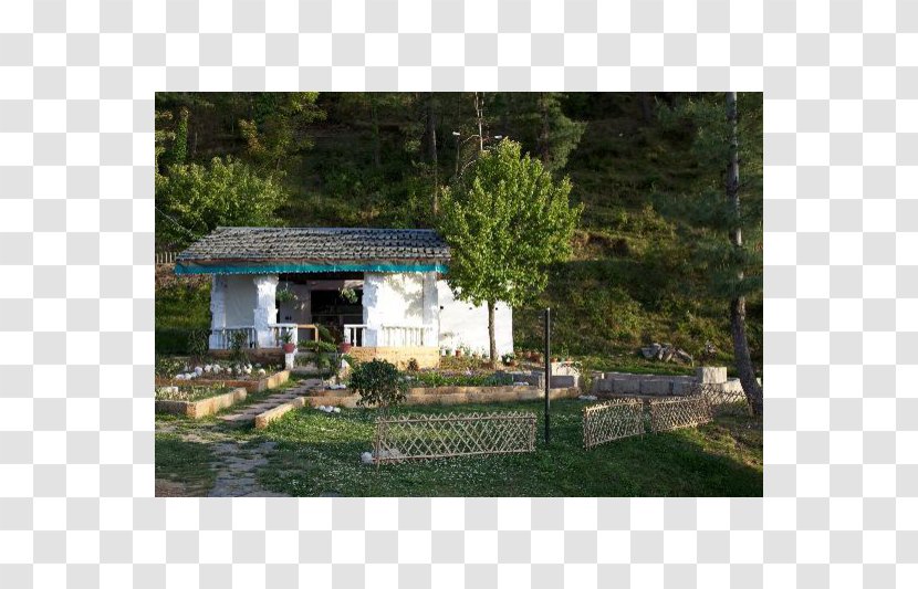 Property Roof Shed - Nature Explorer Transparent PNG