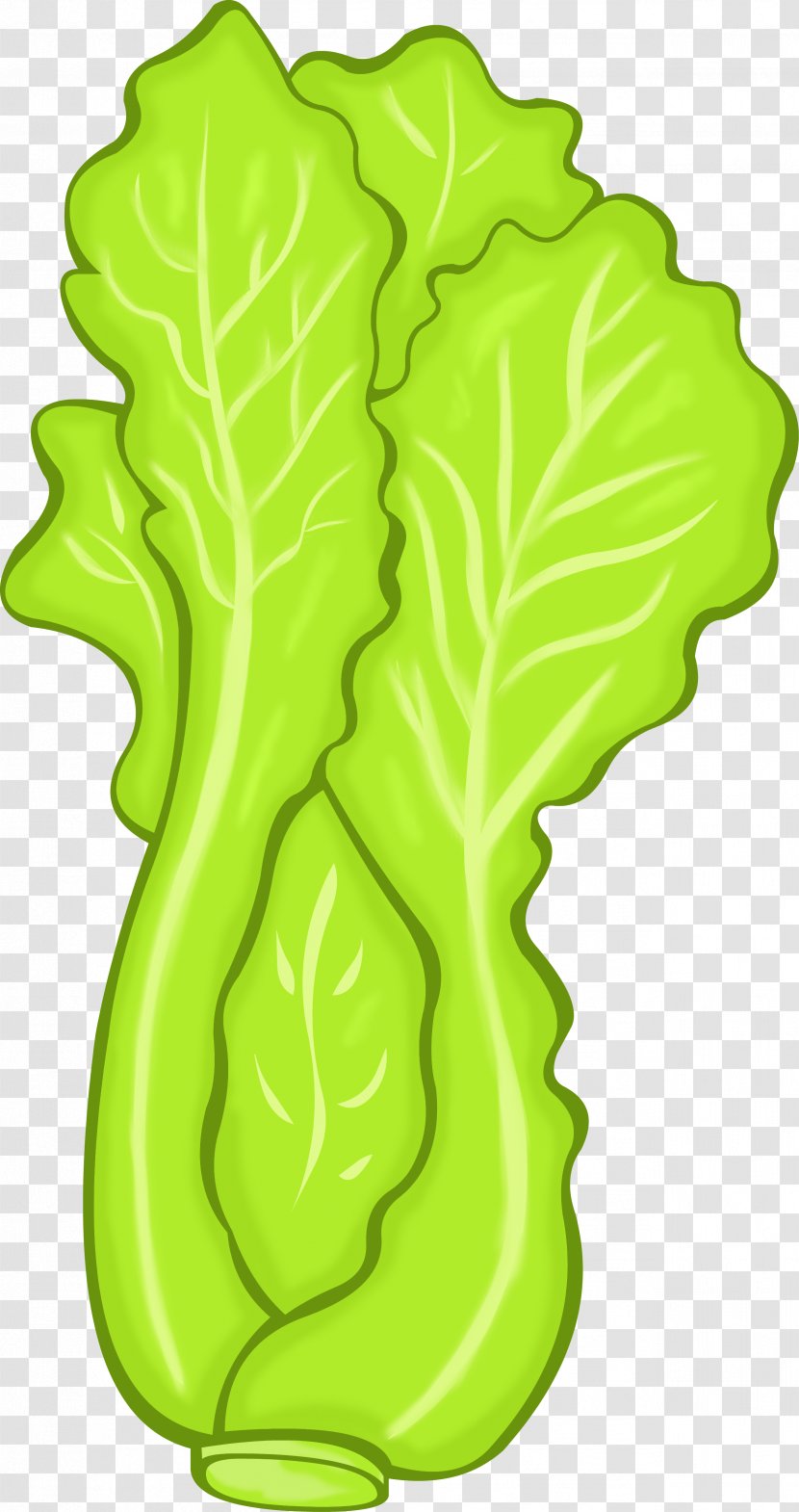 Vegetarian Cuisine Vegetable Lettuce Food Clip Art Transparent PNG