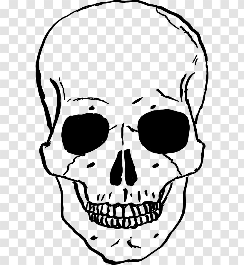 Skull Clip Art - Blog - Cliparts Transparent PNG