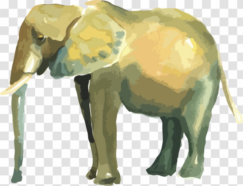 Indian Elephant African Graphic Design - Elephants And Mammoths - Moral Cultural Construction Transparent PNG