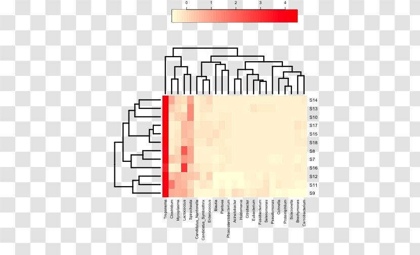 Heat Map Microbiota Cluster Analysis Plot Dendrogram - Metagenomics - Color Transparent PNG