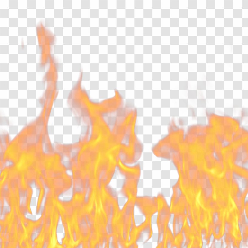 Fire Flame Explosion Clip Art - Tree Transparent PNG