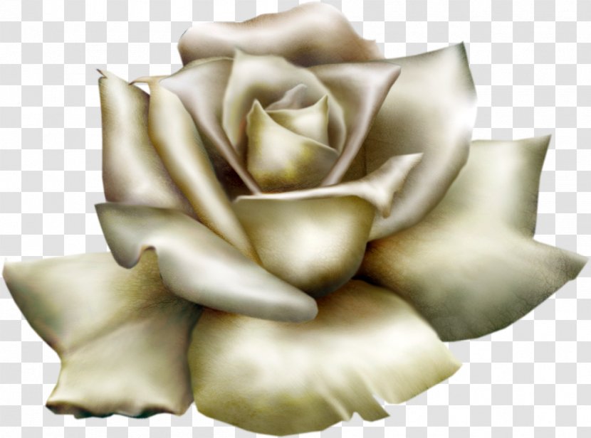 Rose White Clip Art - Roses Transparent PNG