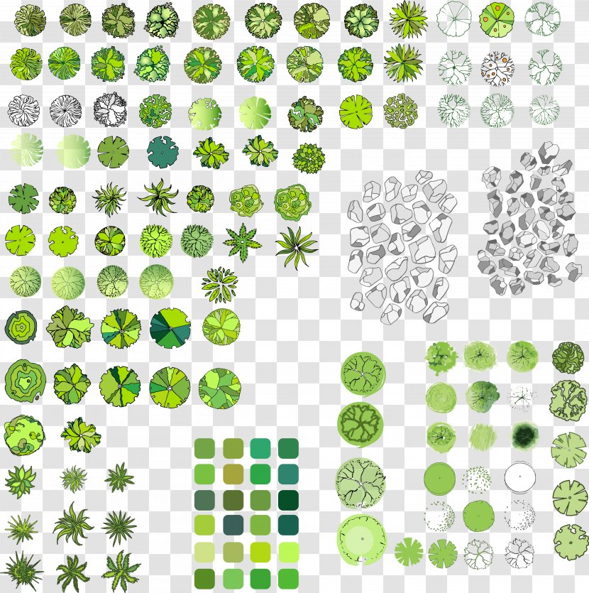 Paper Tree Scrapbooking Drawing - Green - Plan Transparent PNG