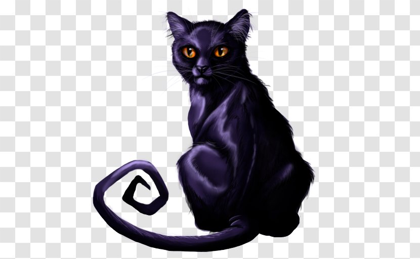 Black Cat Halloween - Purple Transparent PNG