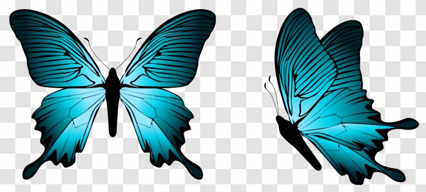 Butterfly Blue Clip Art - Moths And Butterflies - Clipart Image Transparent PNG