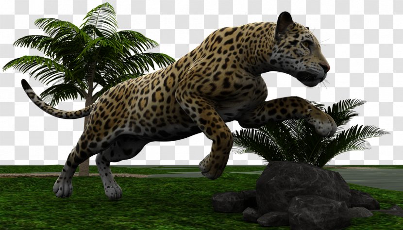 Leopard Jaguar Cars Felidae Tiger - Mammal Transparent PNG