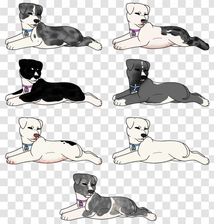 Cat Puppy Dog Breed Leash Transparent PNG