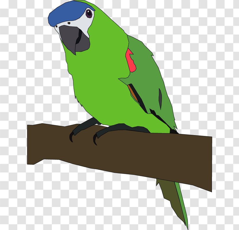 Parrot Bird Free Content Clip Art - Common Pet Parakeet - Hand-painted Transparent PNG