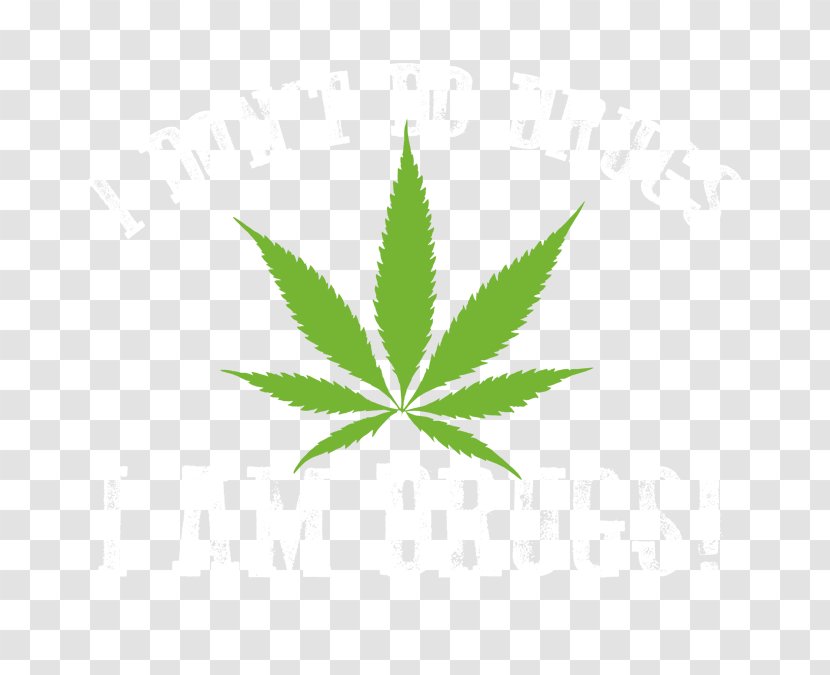 Hash, Marihuana & Hemp Museum Medical Cannabis In India - Leaf - A Piece Of Marijuana Leaves Transparent PNG