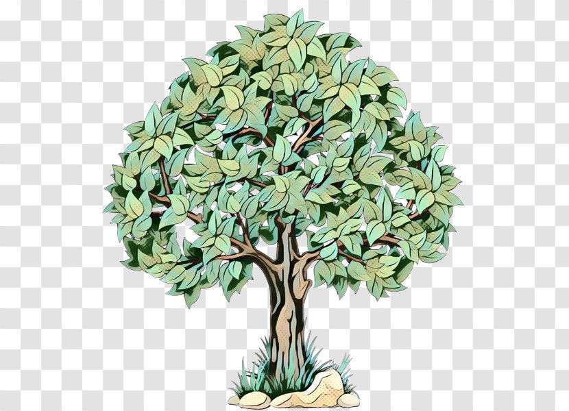 Tree Plant Stem Flower Plants - Magnolia Transparent PNG