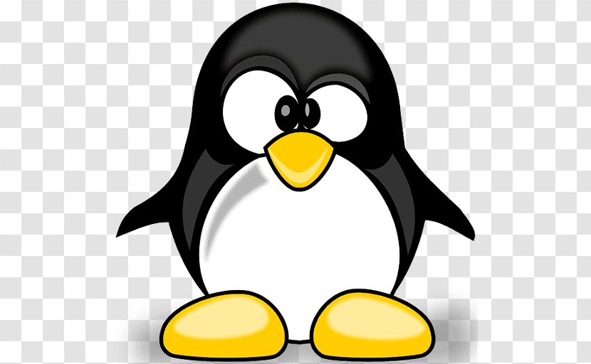 Penguin Clip Art Cartoon Vector Graphics - Animal Transparent PNG