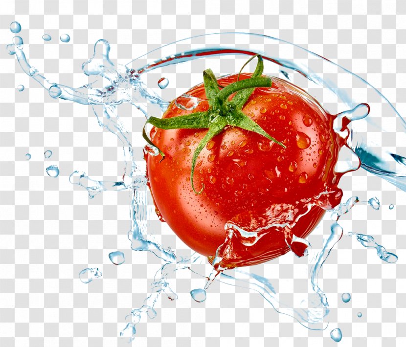 Tomato Fort Lauderdale Beach Ozone Air Purifier Vegetable - Frame - Splashes,tomato Transparent PNG