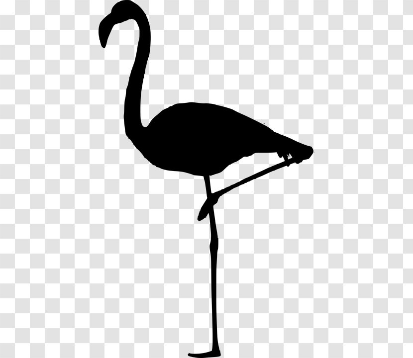 Greater Flamingo Party Zazzle Watch - Egret - Clothing Accessories Transparent PNG