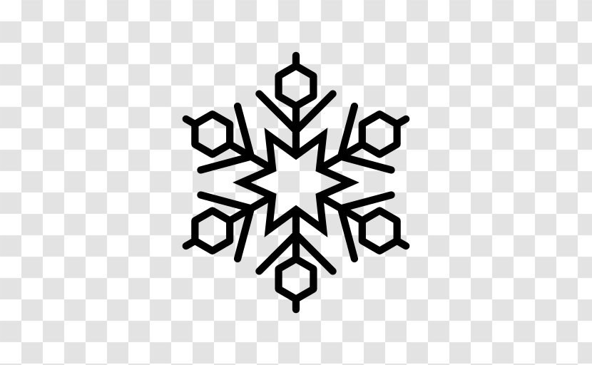 Snowflake - Leaf Transparent PNG