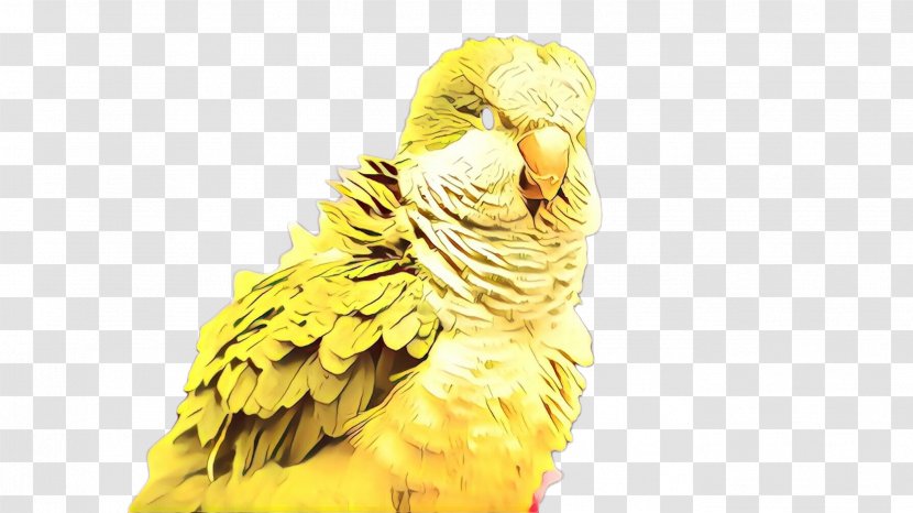 Bird Parrot - Yellow - Wing Budgie Transparent PNG