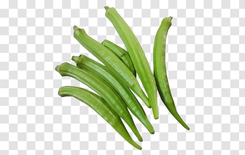 Okra Ladyfinger Vegetable Food - Bean Transparent PNG