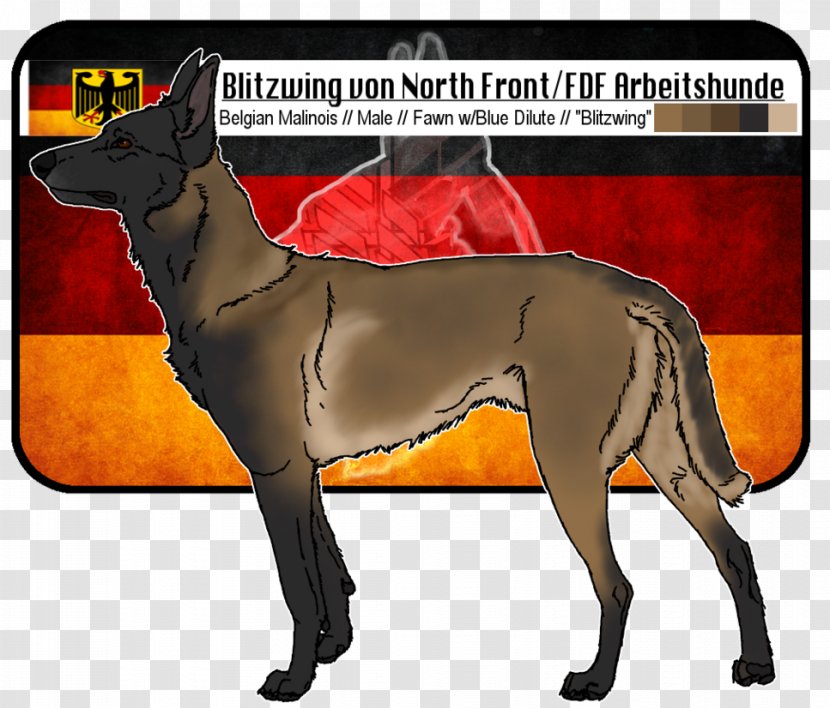Dog Breed Italian Greyhound Malinois Arbeitshund - Silhouette - Blitzwing Transparent PNG