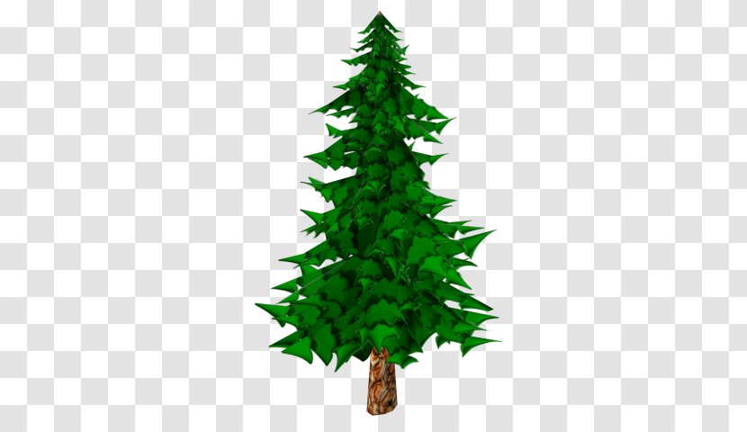 Pine Fir Christmas Tree Spruce - Grass - Poly Transparent PNG
