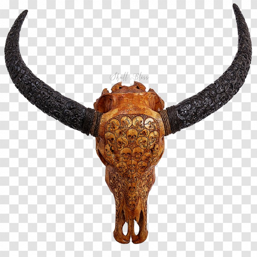 Cattle Horn Water Buffalo Skull Skeleton Transparent PNG