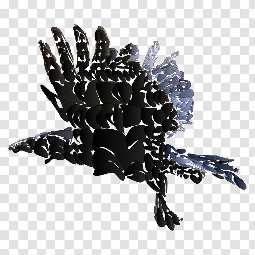 The Raven Common - Organism - Fishing Transparent PNG