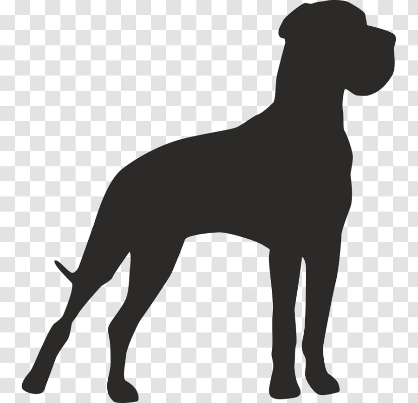 Great Dane Dog Breed Akita Pet Sitting American Staffordshire Terrier - Puppy Transparent PNG