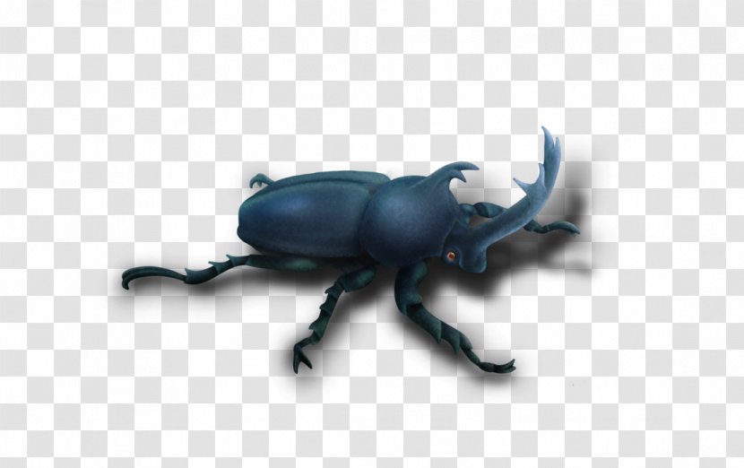 Dung Beetle Weevil Scarab Pest - Microsoft Azure - Japanese Rhinoceros Transparent PNG