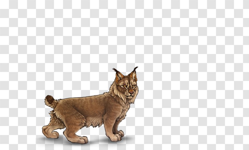 Cat Whiskers Lynx Art Lion - Work Of Transparent PNG