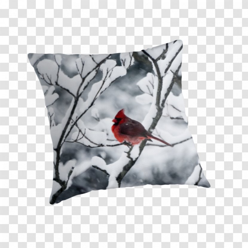 Throw Pillows Cushion Beak - Bird - Pillow Transparent PNG