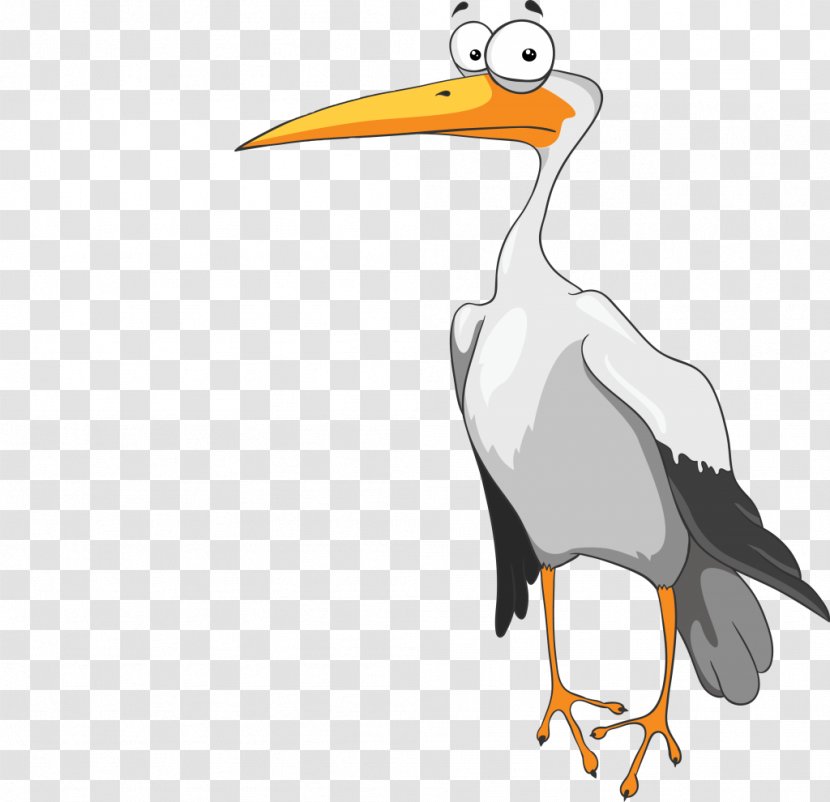 White Stork Download Bird Transparent PNG