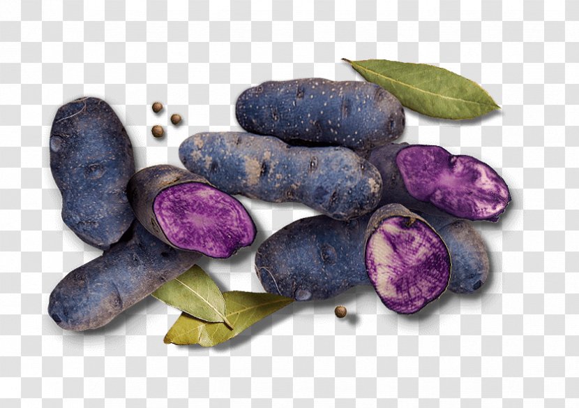 Yam Potato Tuber Superfood Blueberry Transparent PNG