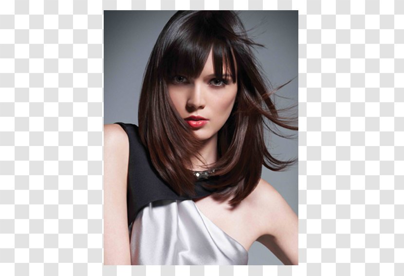 Hairstyle Hairdresser John Paul Mitchell Systems Beauty Parlour Hair Care - Model - Stylish Spa Transparent PNG