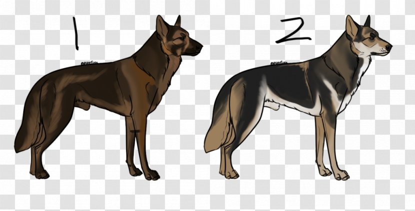 Kunming Wolfdog Saarloos Czechoslovakian German Shepherd Seppala Siberian Sleddog - Mammal - Dog Breed Group Transparent PNG