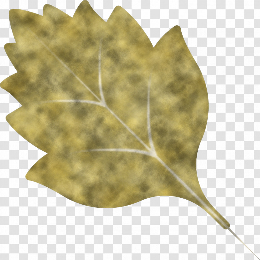 Autumn Leaf Autumn Color Transparent PNG