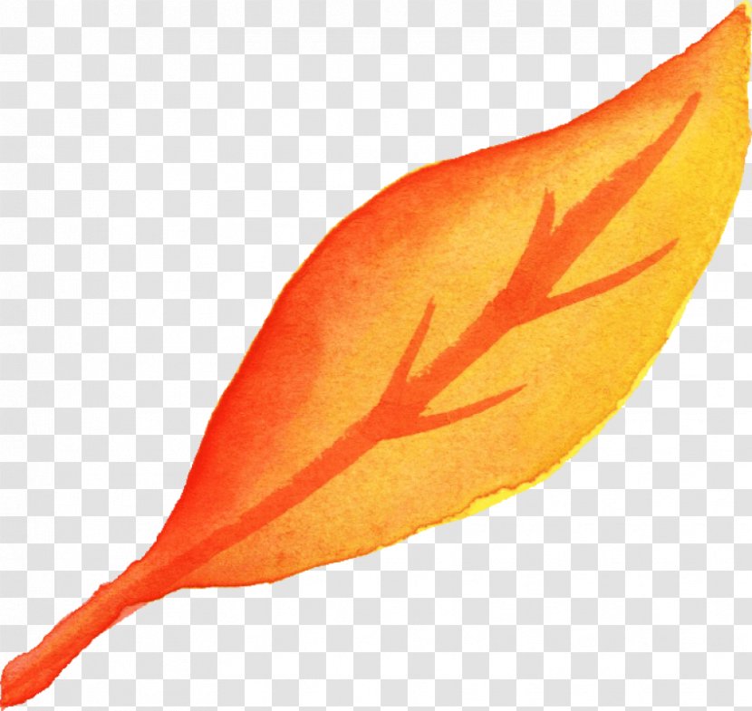 Autumn Leaf Drawing - Painting - Feather Plant Transparent PNG