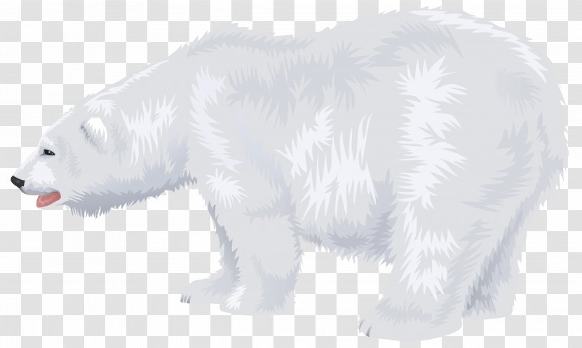 Polar Bear Arctic North Pole - White Transparent PNG
