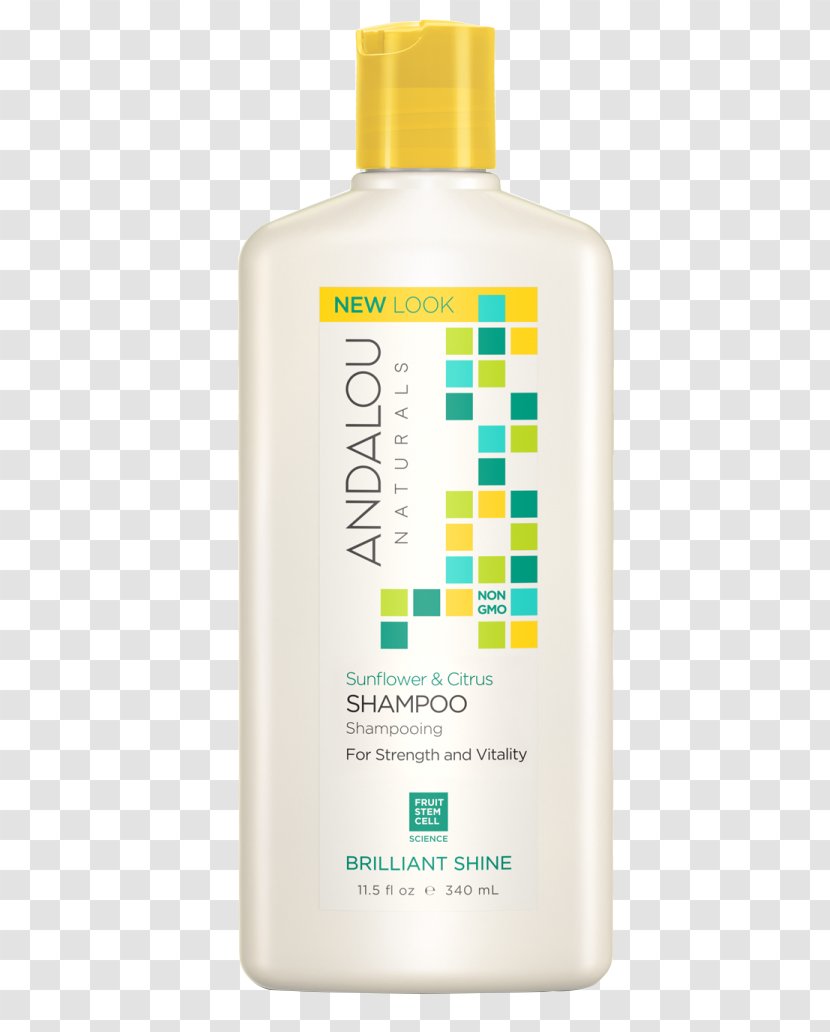 Hair Conditioner Shampoo Care Lotion - Skin - Bong Hoa Mai Transparent PNG