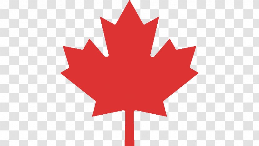 Flag Of Canada 150th Anniversary Maple Leaf - Woody Plant - Creative Beard Transparent PNG