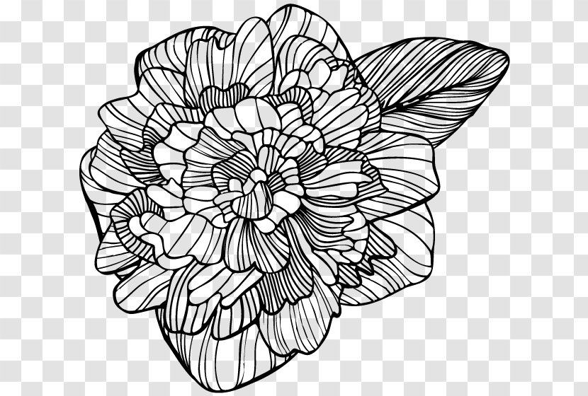 Floral Design /m/02csf Drawing Monochrome - Petal Transparent PNG